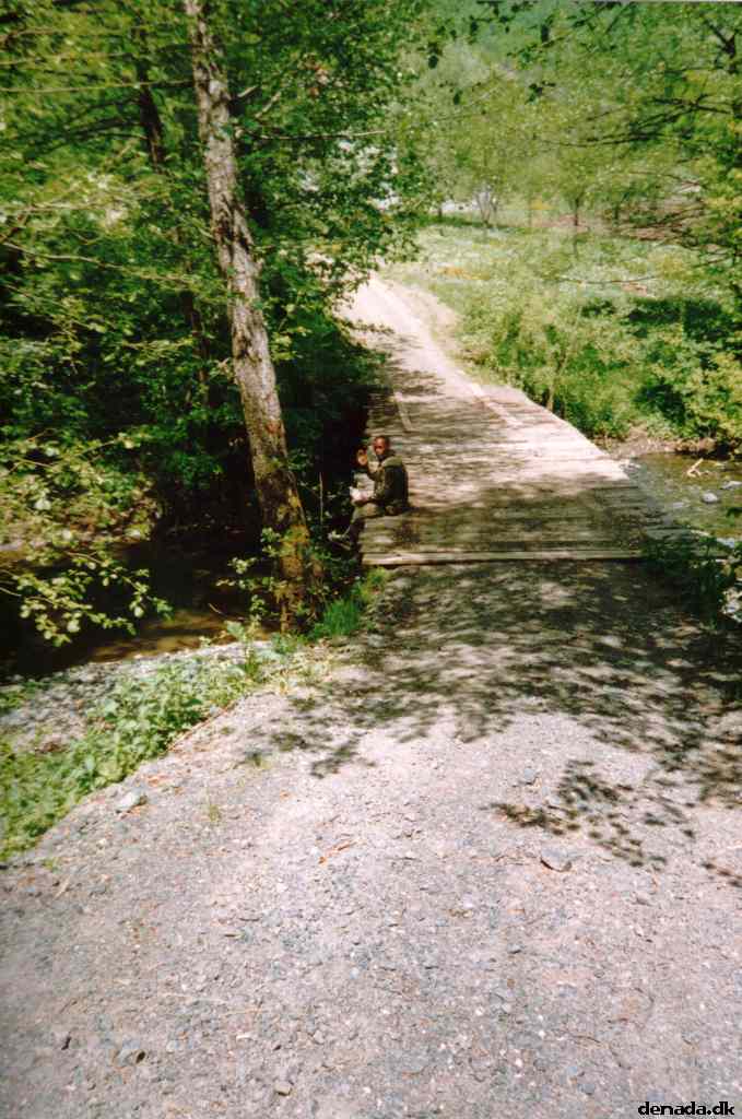 * Image 15