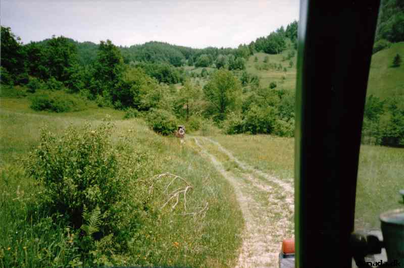* Image 26