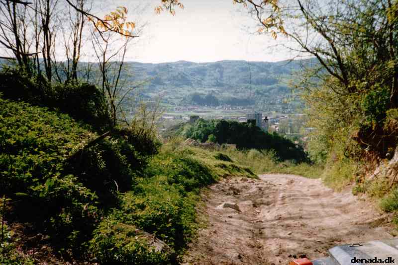 * Image 10