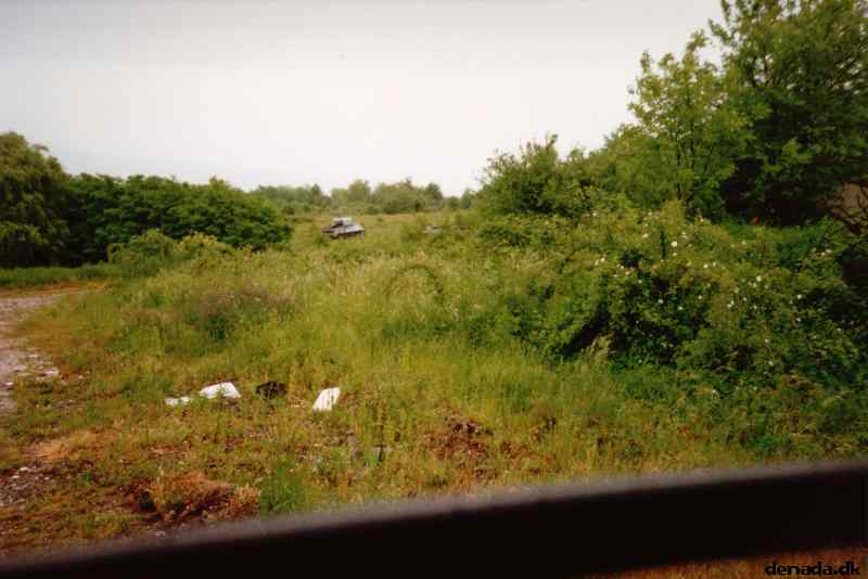 * Image 29