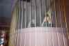 IM000185.JPG - 
