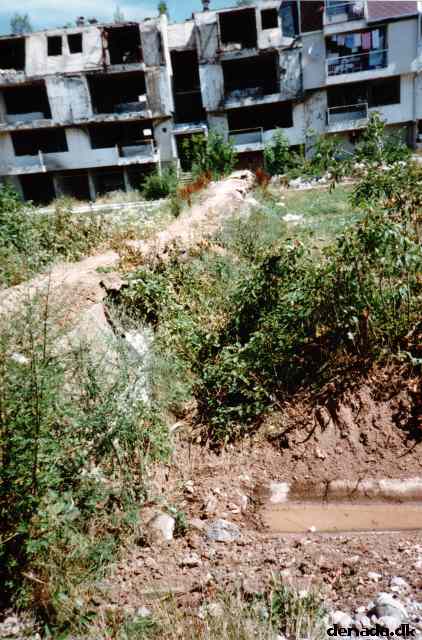 * Image 4