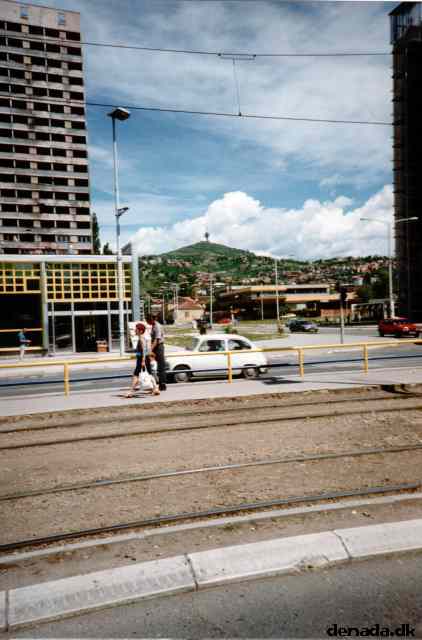 * Image 7