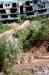 IM000158.JPG - 