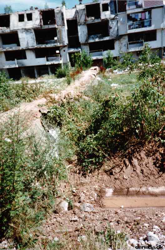 * Image 4