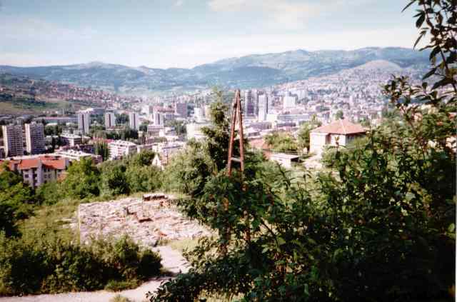 * Image 23