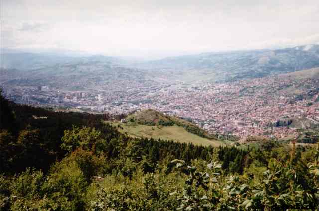 * Image 19