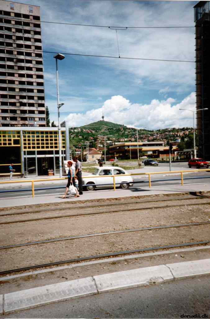 * Image 7