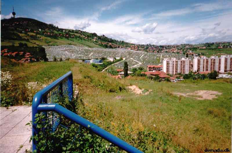 * Image 10
