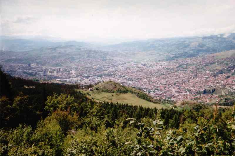 * Image 19
