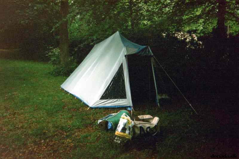 * Image 13