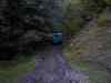 pa040154.jpg - 1999:10:04 15:30:05
