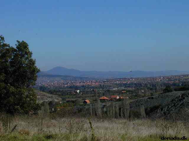 * Image 14
