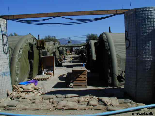 * Image 10