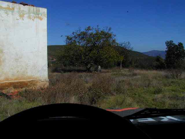 * Image 12