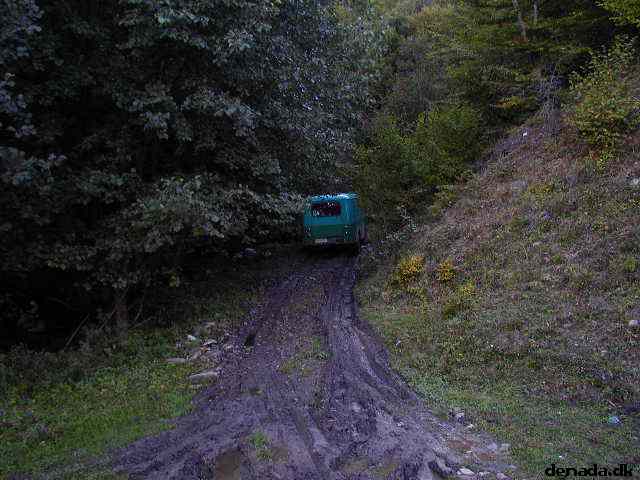 * Image 15