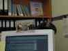 nse_fs_fab_shania.jpg - 1999:10:14 16:06:42