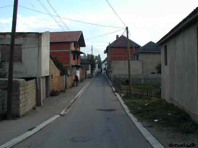 * Image 12