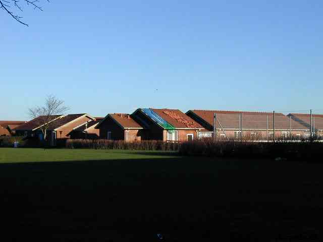* Image 5