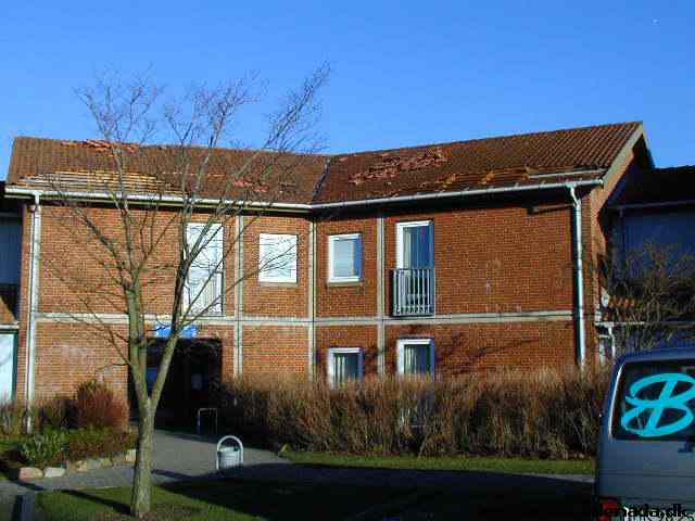 * Image 1