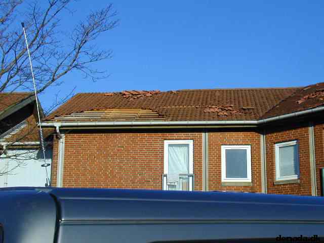 * Image 4