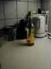 2000_03_18-22_50_17.jpg - 2000:03:18 21:50:17