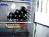 2000_03_19-02_42_16.jpg - 2000:03:19 01:42:16