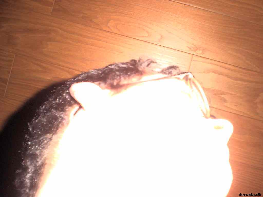 * Image 30