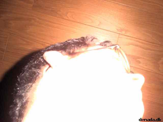 * Image 30