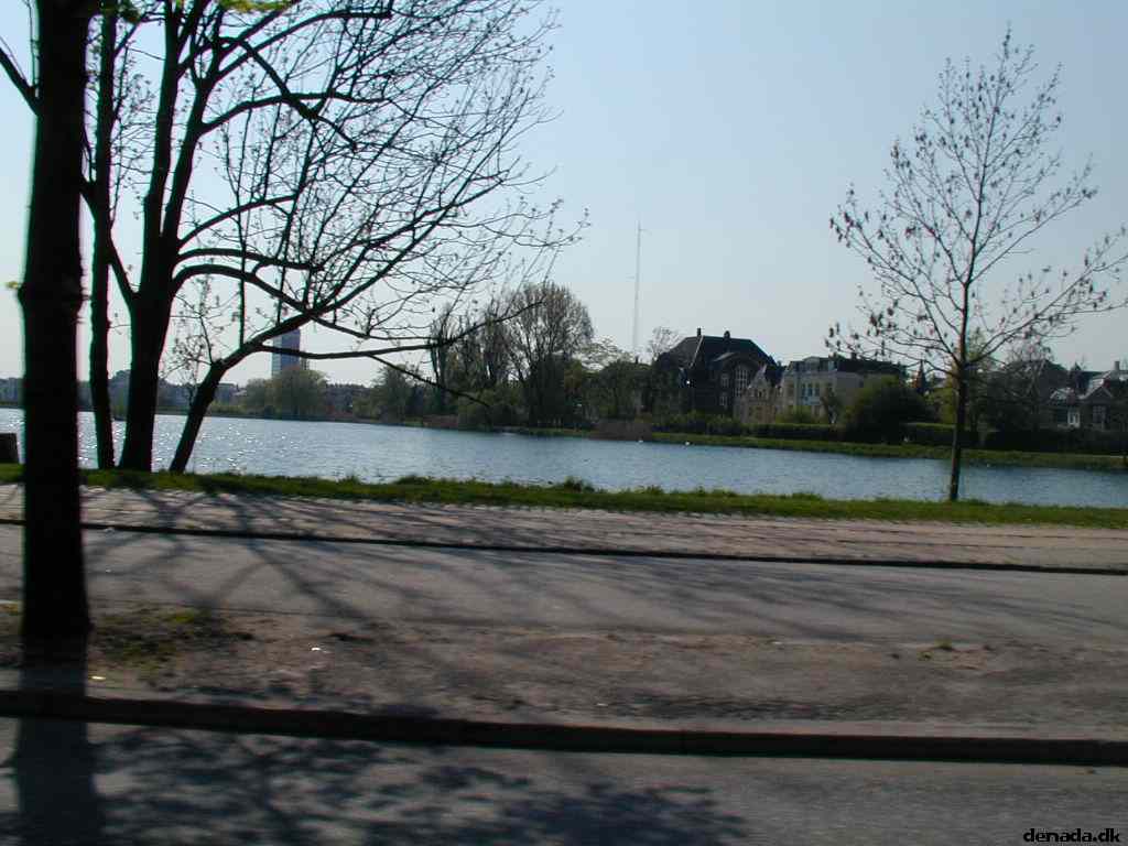 * Image 33