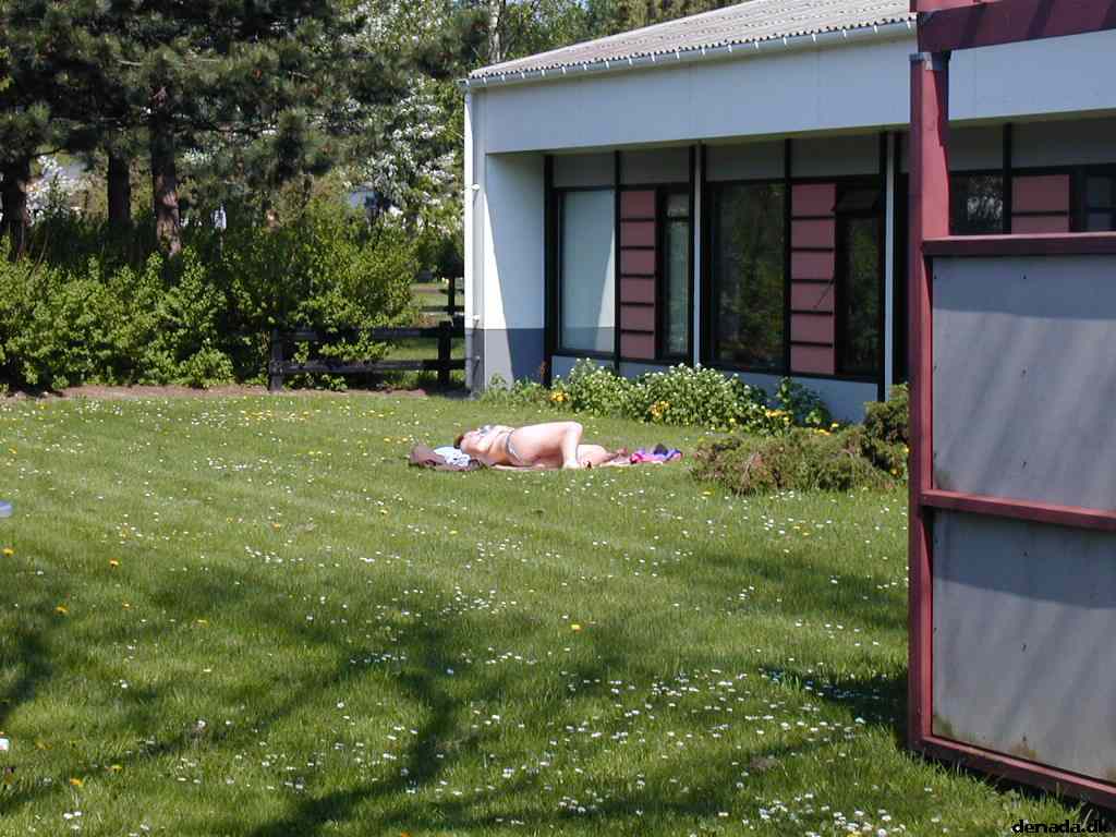 * Image 53