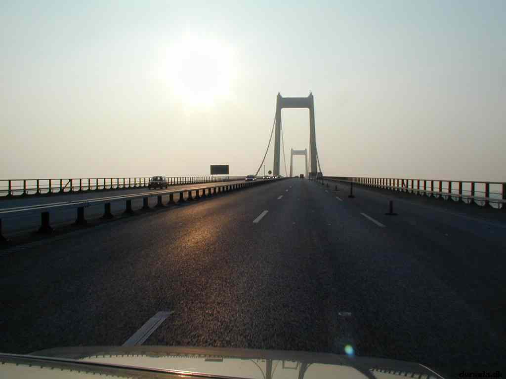 * Image 80