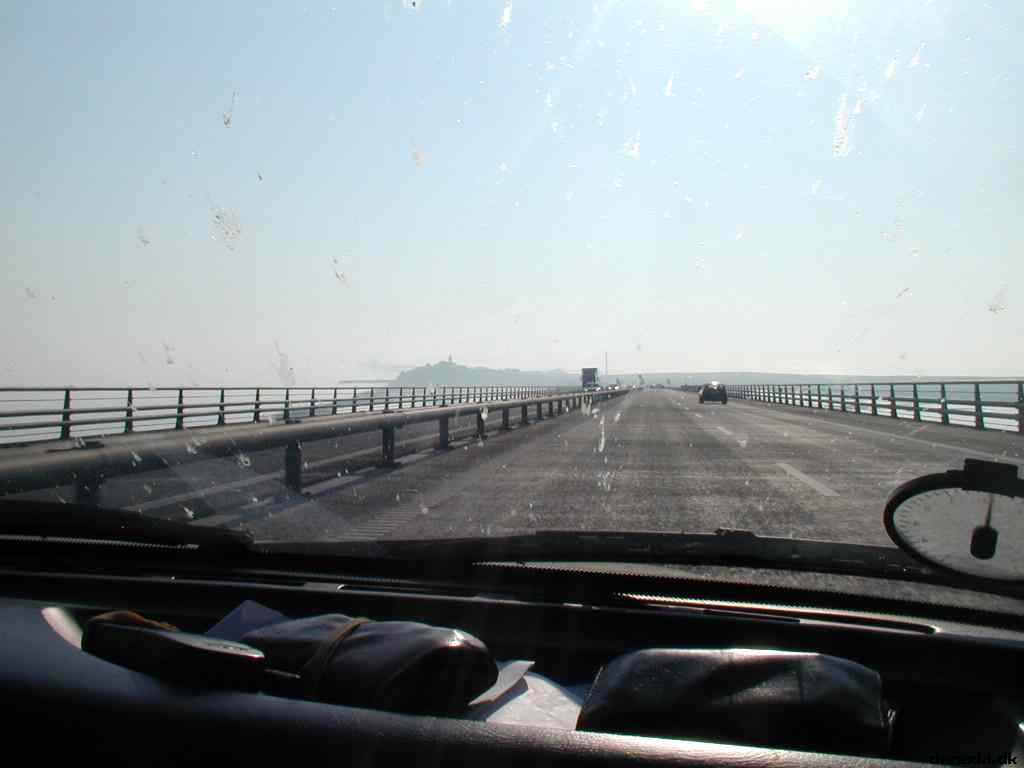 * Image 63
