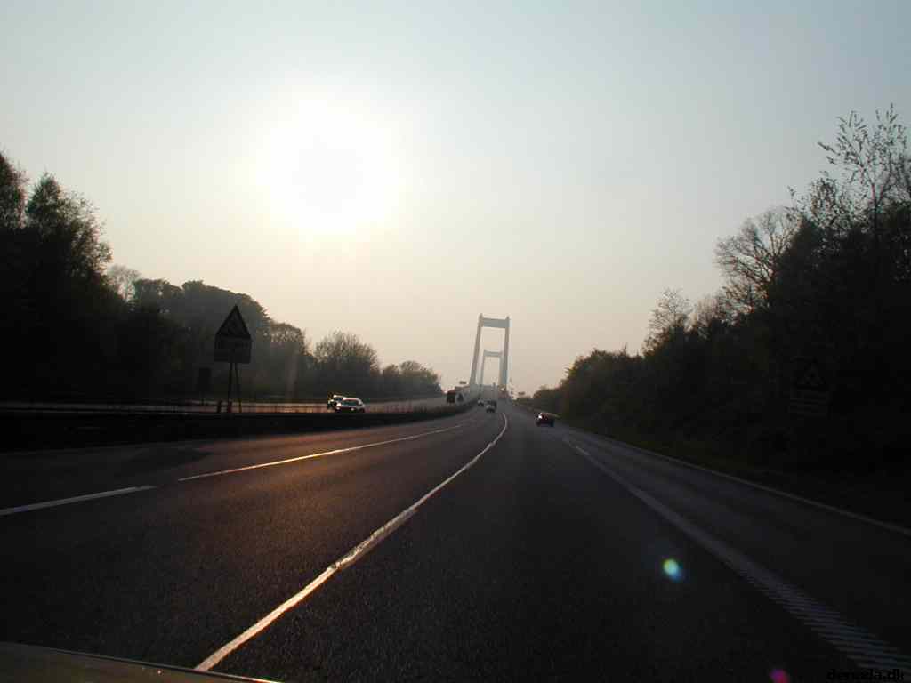 * Image 75