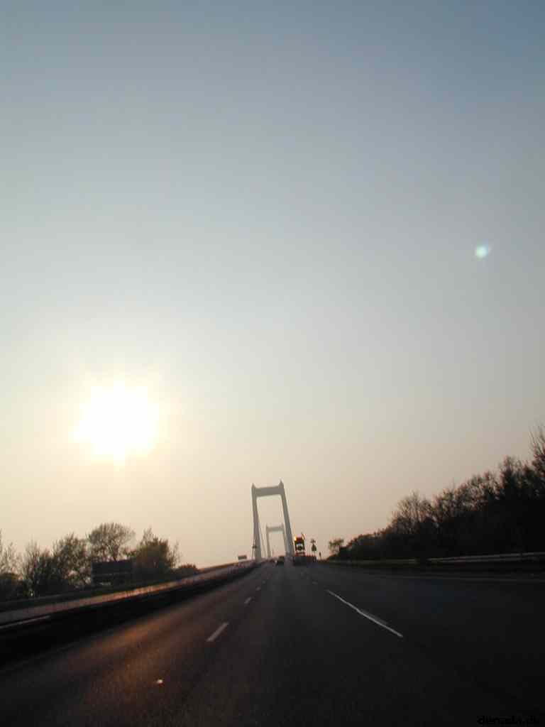 * Image 79
