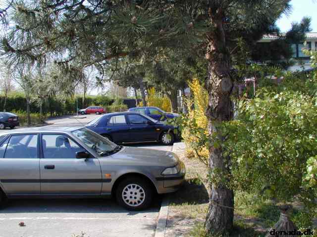 * Image 51
