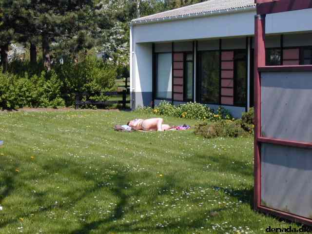 * Image 53