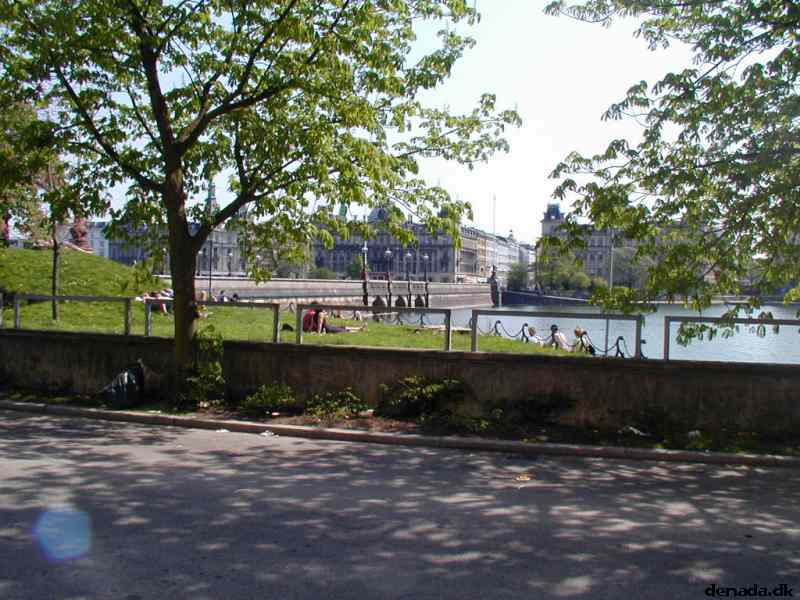 * Image 24