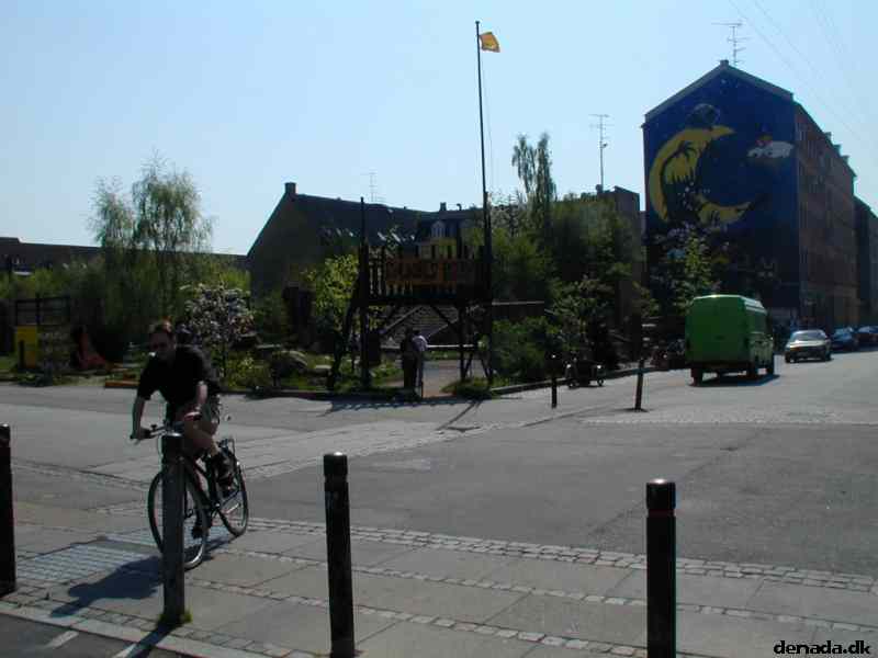 * Image 29