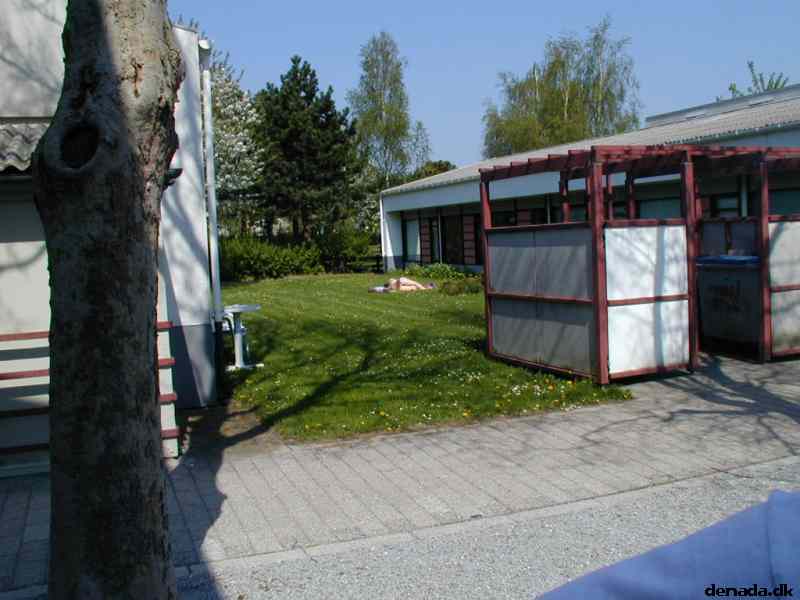 * Image 52