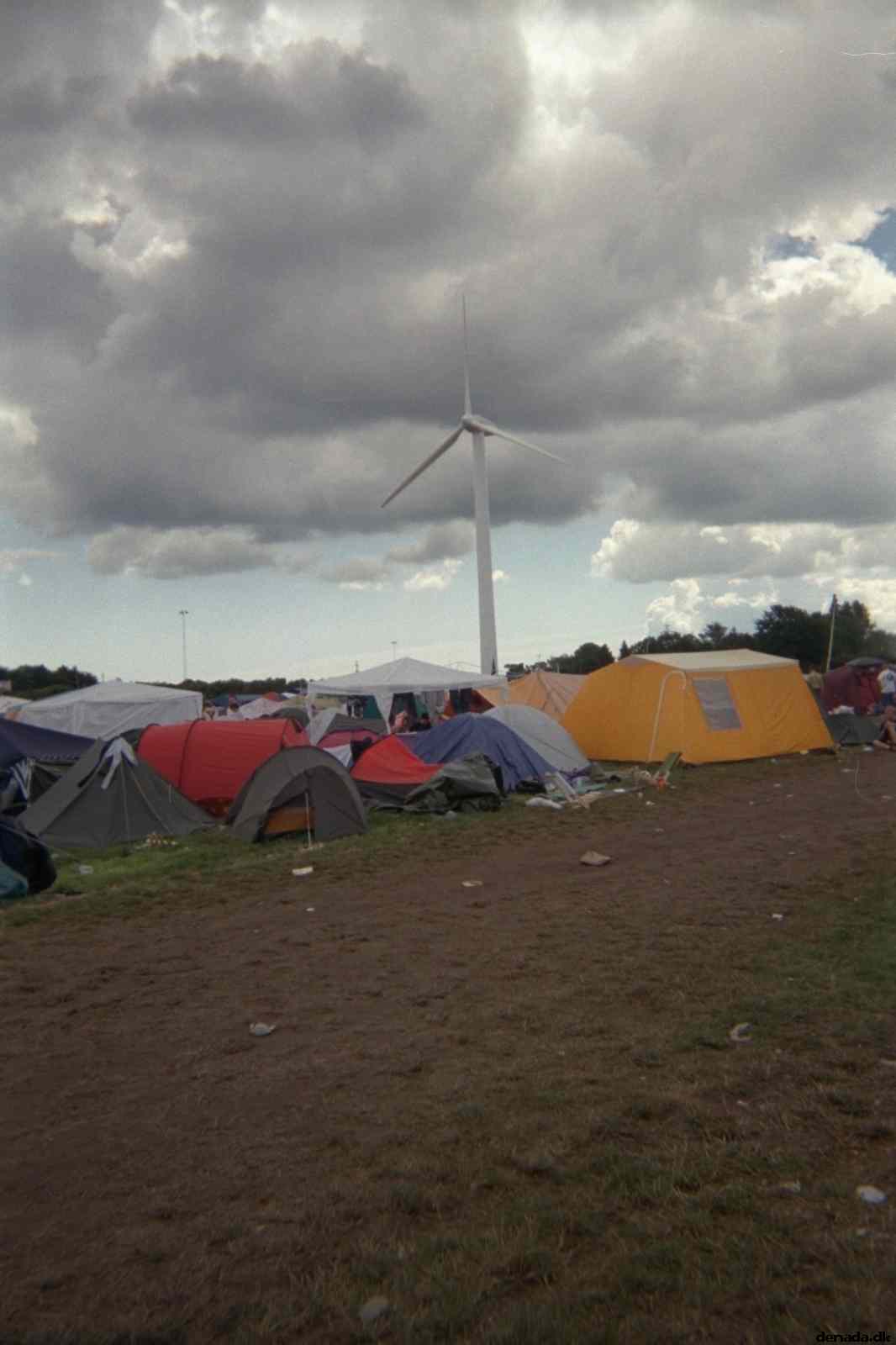 * Image 19