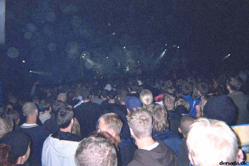 * Image 41