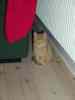 2000_12_24-19_46_05.jpg - 2000:12:24 18:46:05