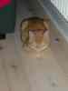 2000_12_24-19_47_10.jpg - 2000:12:24 18:47:10