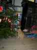2000_12_24-23_47_51.jpg - 2000:12:24 22:47:51