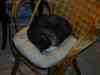 2000_12_25-20_16_49.jpg - 2000:12:25 19:16:49