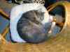 2000_12_25-21_28_44.jpg - 2000:12:25 20:28:44