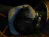 2000_12_25-21_29_45.jpg - 2000:12:25 20:29:45