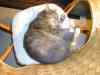 2000_12_25-21_30_23.jpg - 2000:12:25 20:30:23