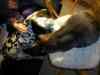 2000_12_25-21_30_48.jpg - 2000:12:25 20:30:48
